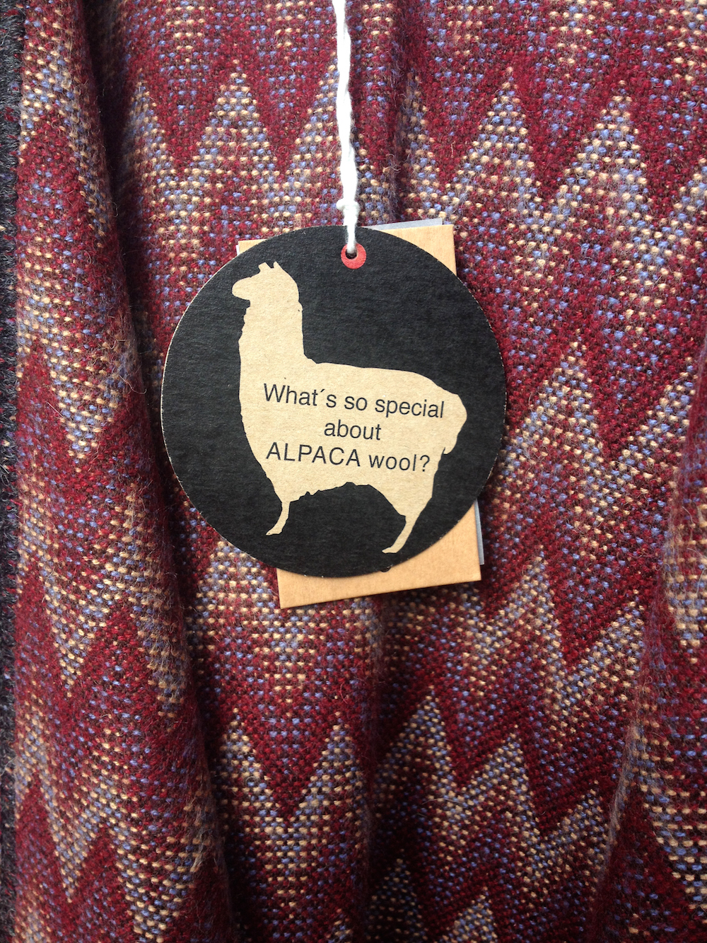 what-is-so-special-about-alpaca-wool-petit-alpaca-aw16
