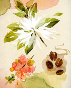 Ekaterina Koroleva Ilustracion