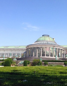 verano miredcarpet bruselas