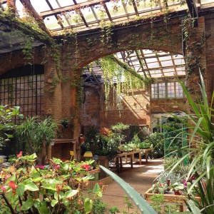 verano miredcarpet hivernacle barcelona